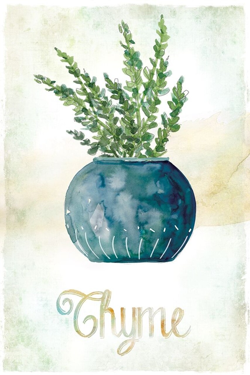 Potted Thyme Poster Print by Carol Robinson - Item # VARPDX40229